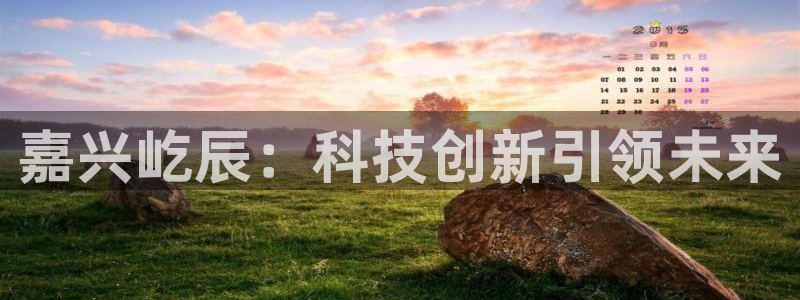 嘉兴屹辰：科技创新引领未来