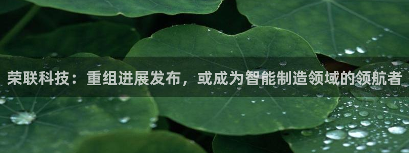 荣联科技：重组进展发布，或成为智能制造领域的领航者