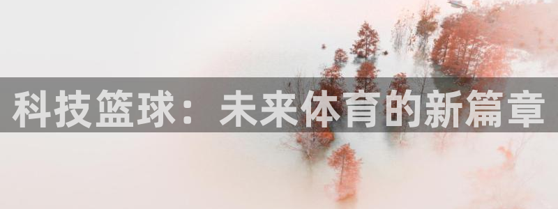 科技篮球：未来体育的新篇章