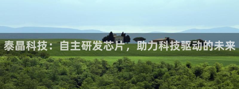 泰晶科技：自主研发芯片，助力科技驱动的未来