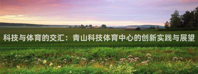 科技与体育的交汇：青山科技体育中心的创新实践与展望