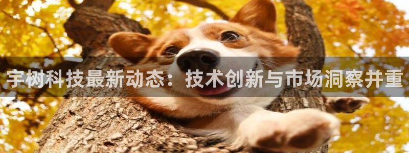 宇树科技最新动态：技术创新与市场洞察并重