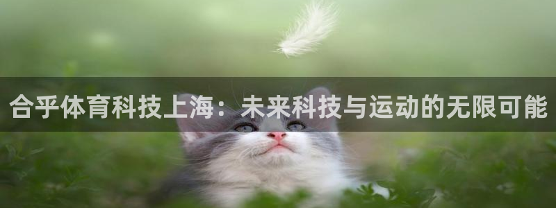 合乎体育科技上海：未来科技与运动的无限可能