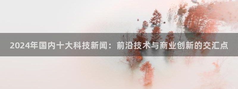 2024年国内十大科技新闻：前沿技术与商业创新的交汇点