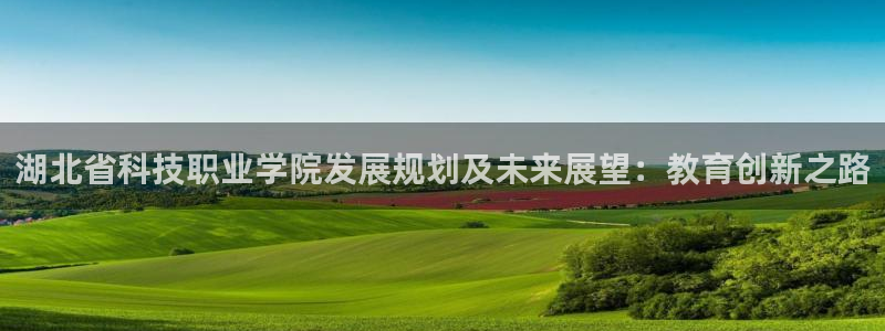 湖北省科技职业学院发展规划及未来展望：教育创新之路