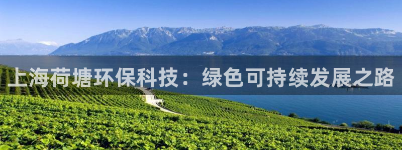 上海荷塘环保科技：绿色可持续发展之路