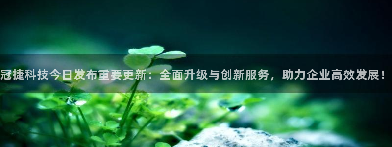 冠捷科技今日发布重要更新：全面升级与创新服务，助力企业高效发展！