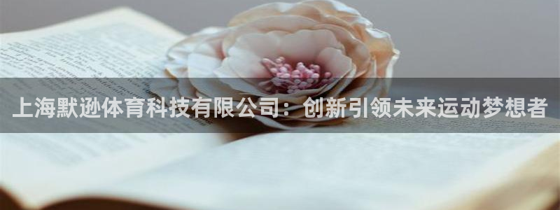 上海默逊体育科技有限公司：创新引领未来运动梦想者