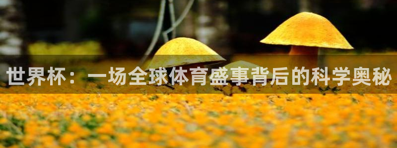 世界杯：一场全球体育盛事背后的科学奥秘