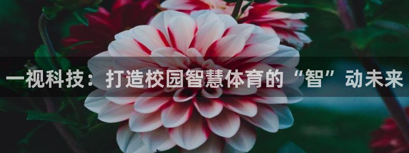一视科技：打造校园智慧体育的“智”动未来