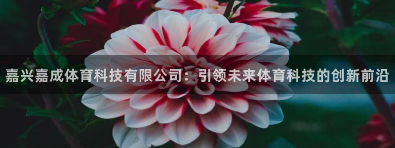 嘉兴嘉成体育科技有限公司：引领未来体育科技的创新前沿