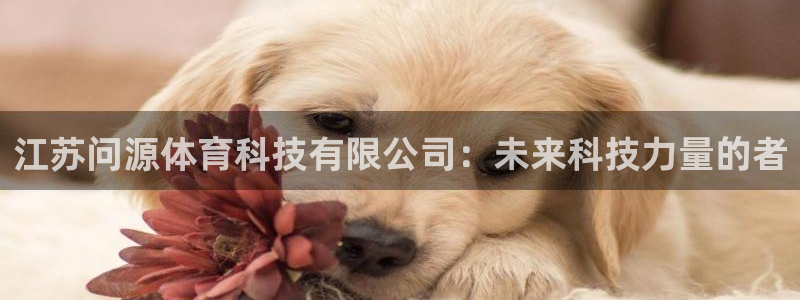 江苏问源体育科技有限公司：未来科技力量的者