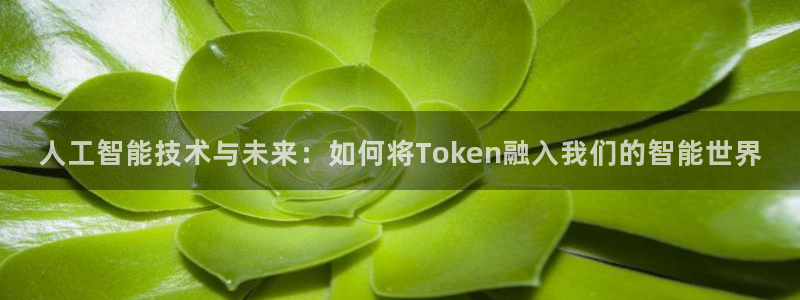 人工智能技术与未来：如何将Token融入我们的智能世界