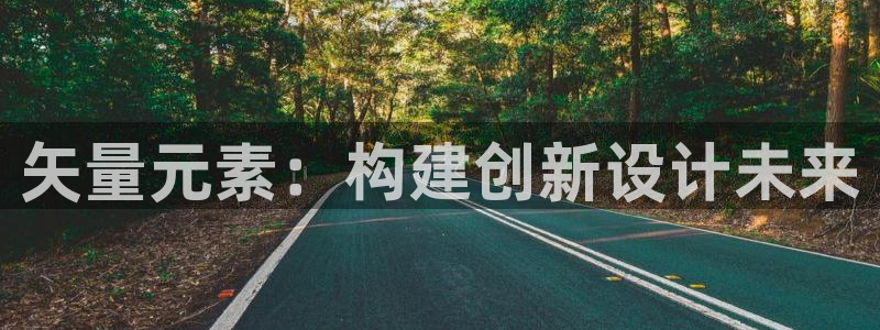 矢量元素：构建创新设计未来