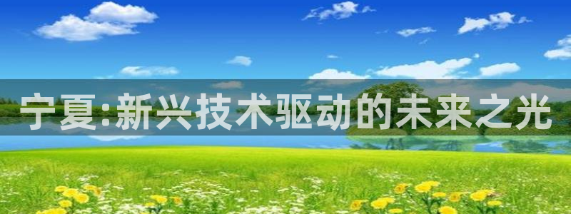 宁夏:新兴技术驱动的未来之光
