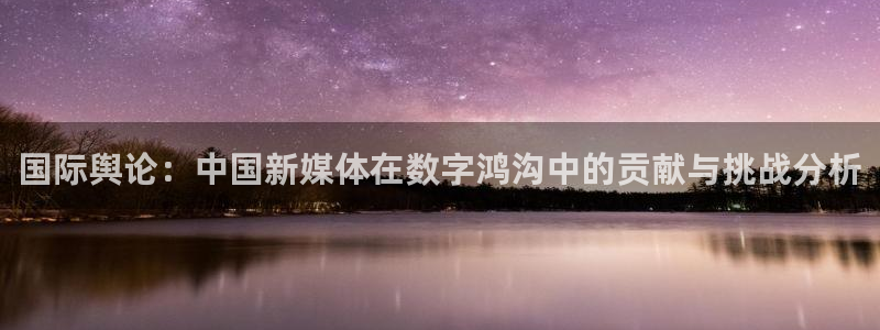 国际舆论：中国新媒体在数字鸿沟中的贡献与挑战分析
