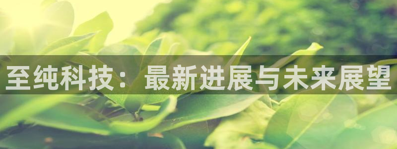 至纯科技：最新进展与未来展望