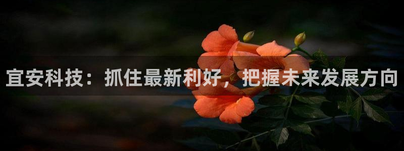 宜安科技：抓住最新利好，把握未来发展方向