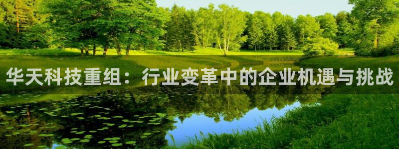 华天科技重组：行业变革中的企业机遇与挑战