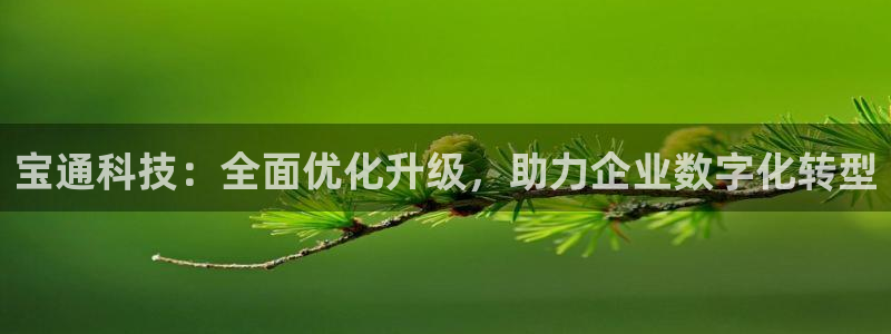 宝通科技：全面优化升级，助力企业数字化转型