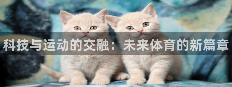 科技与运动的交融：未来体育的新篇章