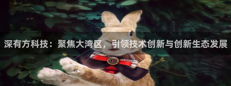 深有方科技：聚焦大湾区，引领技术创新与创新生态发展