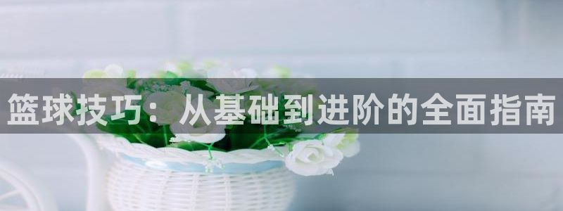篮球技巧：从基础到进阶的全面指南
