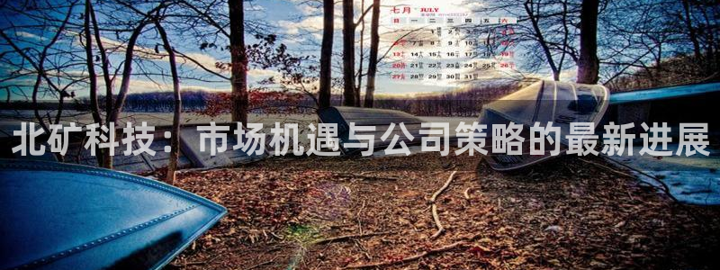 北矿科技：市场机遇与公司策略的最新进展