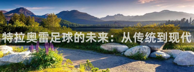 特拉奥雷足球的未来：从传统到现代