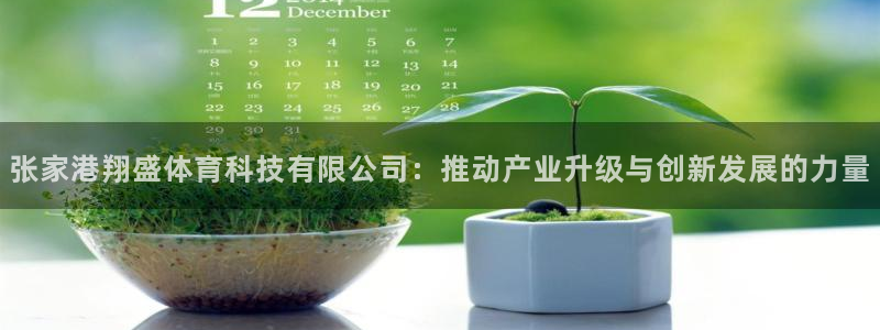 张家港翔盛体育科技有限公司：推动产业升级与创新发展的力量