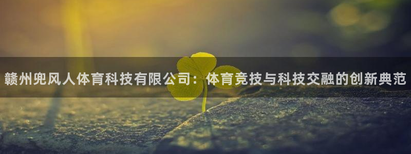 赣州兜风人体育科技有限公司：体育竞技与科技交融的创新典范