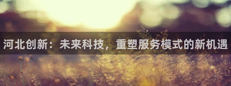 河北创新：未来科技，重塑服务模式的新机遇