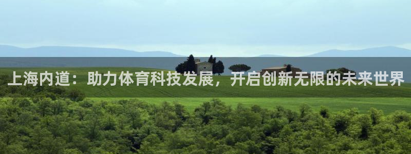 上海内道：助力体育科技发展，开启创新无限的未来世界