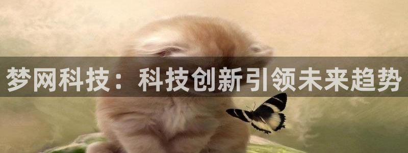 梦网科技：科技创新引领未来趋势