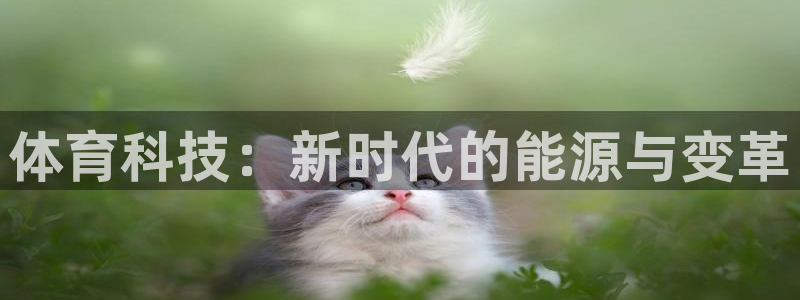 体育科技：新时代的能源与变革