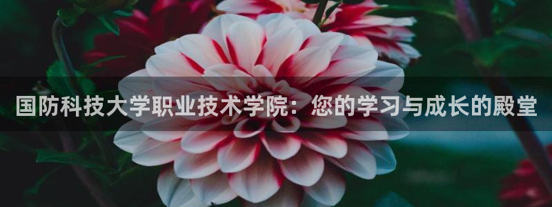 国防科技大学职业技术学院：您的学习与成长的殿堂