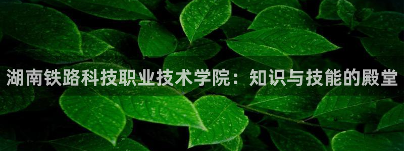 湖南铁路科技职业技术学院：知识与技能的殿堂
