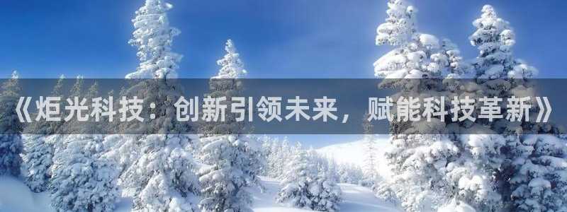 《炬光科技：创新引领未来，赋能科技革新》