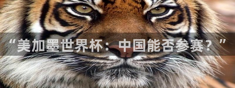 “美加墨世界杯：中国能否参赛？”