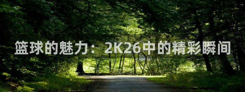 篮球的魅力：2K26中的精彩瞬间