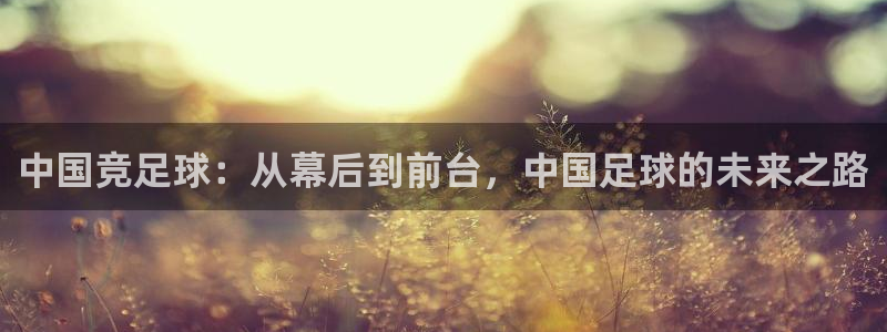 中国竞足球：从幕后到前台，中国足球的未来之路