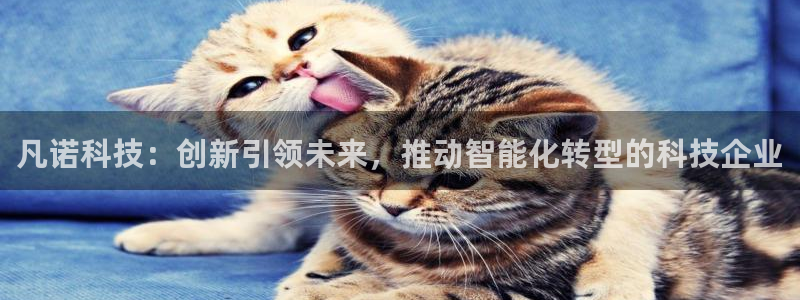 凡诺科技：创新引领未来，推动智能化转型的科技企业