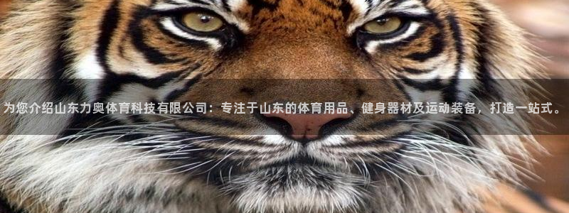 为您介绍山东力奥体育科技有限公司：专注于山东的体育用品、健身器材及运动装备，打造一站式。