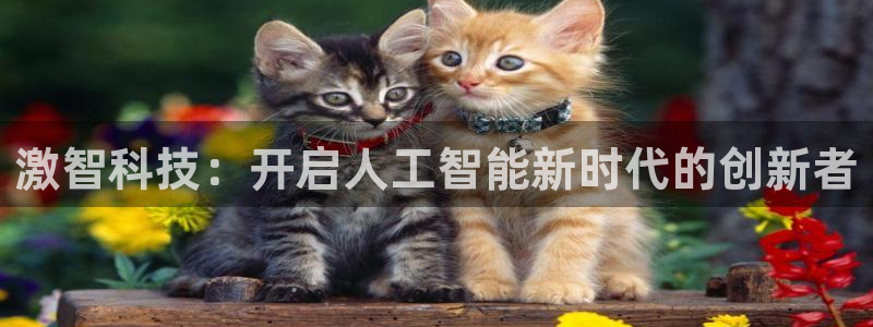 激智科技：开启人工智能新时代的创新者