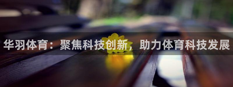 华羽体育：聚焦科技创新，助力体育科技发展